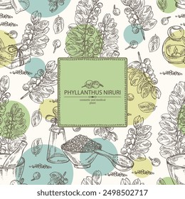 Background with phyllanthus niruri: phyllanthus plant, leaves and phyllanthus niruri berries. Oil, soap and bath salt . Cosmetics and medical plant. Vector hand drawn illustration