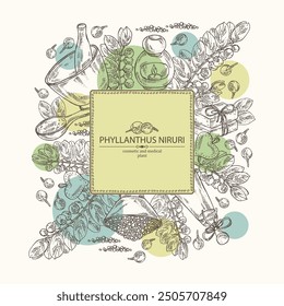 Fondo con phyllanthus niruri: planta de phyllanthus, hojas y bayas de phyllanthus niruri. Aceite, jabón y sal de baño. Cosméticos y planta médica. Vector dibujado a mano ilustración