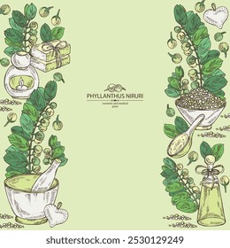 Fondo con phyllanthus niruri: planta de phyllanthus, hojas y bayas de phyllanthus niruri. Aceite, jabón y sal de baño. Cosméticos y planta médica. Vector dibujado a mano ilustración