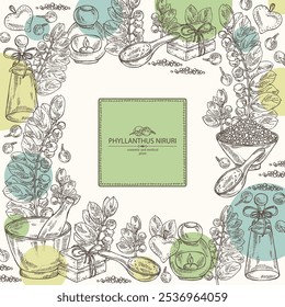 Background with phyllanthus niruri: phyllanthus plant, leaves and phyllanthus niruri berries. Oil, soap and bath salt . Cosmetics and medical plant. Vector hand drawn illustration