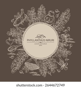 Background with phyllanthus niruri: phyllanthus plant, leaves and phyllanthus niruri berries. Oil, soap and bath salt . Cosmetics and medical plant. Vector hand drawn illustration