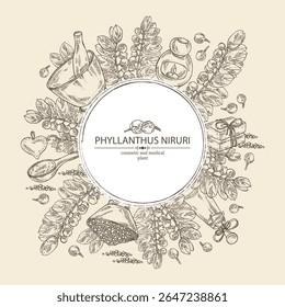 Fondo con phyllanthus niruri: planta de phyllanthus, hojas y bayas de phyllanthus niruri. Aceite, jabón y sal de baño. Cosméticos y planta médica. Vector dibujado a mano ilustración