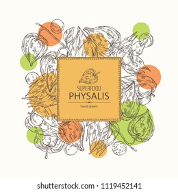 Background with physalis: plant and fruit. Tomatillo. Superfood. Vector hand drawn illustration.