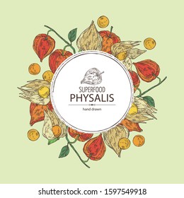 Background with physalis: plant and fruit. Tomatillo. Superfood. Vector hand drawn illustration.