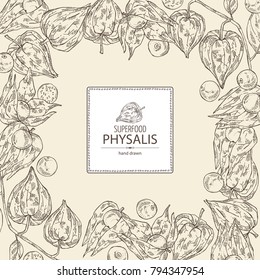 Background with physalis: plant and fruit. Tomatillo. Superfood. Vector hand drawn illustration.