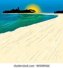 background picture postcard with a tropical beach with sand and beautiful palm tree at sunset