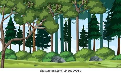 The background of a pine forest on an autumn morning. This forest looks very beautiful because there are various types of large trees and some pine trees.