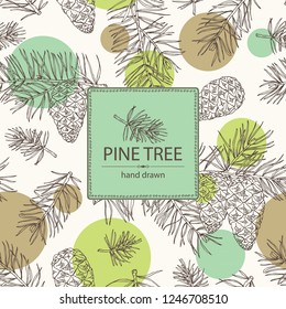 Background with pine tree: branch of pine tree with cone. Vector hand drawn illustration.