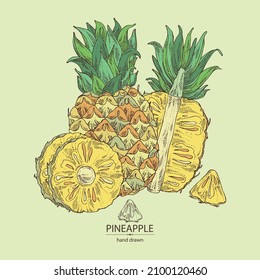 Background with pineapple: pineapple fruit, leaves and pineapple slice. Ananas comosus. Hand drawn vector illustration