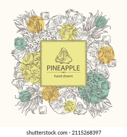 Background with pineapple: pineapple fruit, leaves and pineapple slice. Ananas comosus. Hand drawn vector illustration