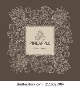 Background with pineapple: pineapple fruit, leaves and pineapple slice. Ananas comosus. Hand drawn vector illustration