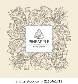 Background with pineapple: pineapple fruit, leaves and pineapple slice. Ananas comosus. Hand drawn vector illustration