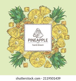 Background with pineapple: pineapple fruit, leaves and pineapple slice. Ananas comosus. Hand drawn vector illustration