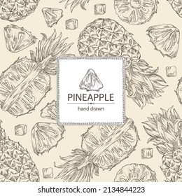 Background with pineapple: pineapple fruit, leaves and pineapple slice. Ananas comosus. Hand drawn vector illustration