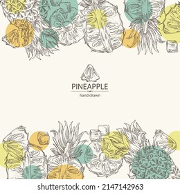 Background with pineapple: pineapple fruit, leaves and pineapple slice. Ananas comosus. Hand drawn vector illustration