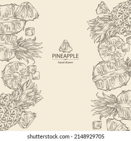 Background with pineapple: pineapple fruit, leaves and pineapple slice. Ananas comosus. Hand drawn vector illustration