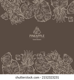 Background with pineapple: pineapple fruit, leaves and pineapple slice. Ananas comosus. Hand drawn vector illustration