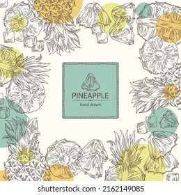 Background with pineapple: pineapple fruit, leaves and pineapple slice. Ananas comosus. Hand drawn vector illustration