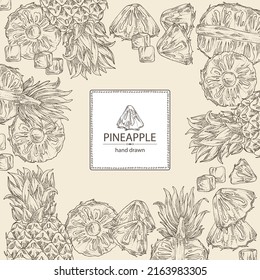 Background with pineapple: pineapple fruit, leaves and pineapple slice. Ananas comosus. Hand drawn vector illustration