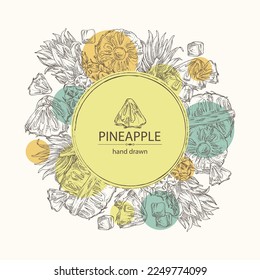 Background with pineapple: pineapple fruit, leaves and pineapple slice. Ananas comosus. Hand drawn vector illustration