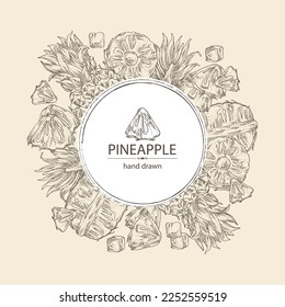 Background with pineapple: pineapple fruit, leaves and pineapple slice. Ananas comosus. Hand drawn vector illustration