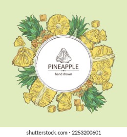 Background with pineapple: pineapple fruit, leaves and pineapple slice. Ananas comosus. Hand drawn vector illustration