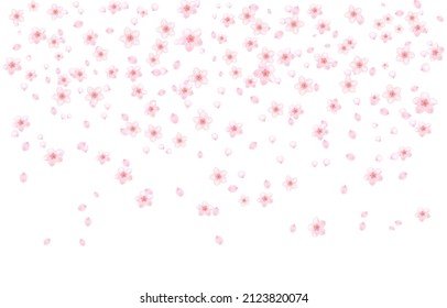 Background of pink apricot flowers , element, design template.