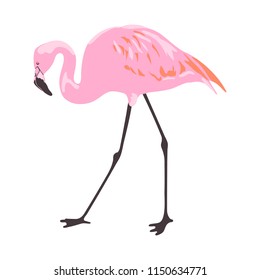 Background with pink flamingo. Modern vector illustration