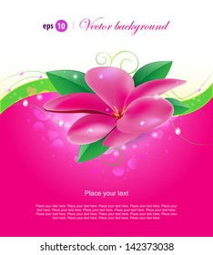 ?olorful background with pink flower. Easy to edit. Perfect for invitations or announcements.