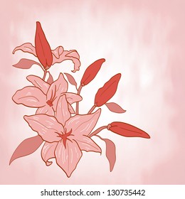 background with pink flower lily Invitation or greeting card Vector illustration