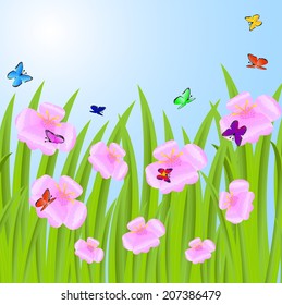 background with pink flowers and butterflies,  vector  illustration