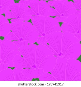 Background of pink flowers Lavater.