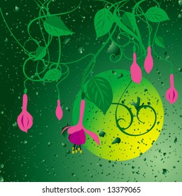 background. pink fuchsia