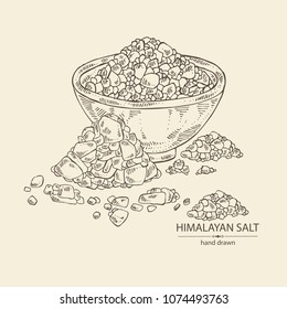 Background With Pink Himalaya Salt. Vector Hand Drawn Illustration.