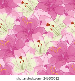 background with pink lilies.floral background. floral background