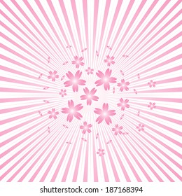 Background with pink rays and Japanese Sakura