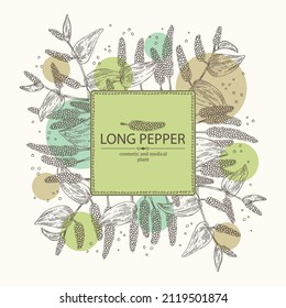 Background with pippali: leaves, pippali fruits and long pepper plant. Piper longum. Cosmetic, perfumery and medical plant. Vector hand drawn illustration.