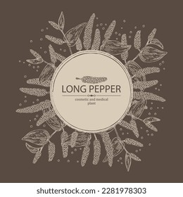 Background with pippali: leaves, pippali fruits and long pepper plant. Piper longum. Cosmetic, perfumery and medical plant. Vector hand drawn illustration.