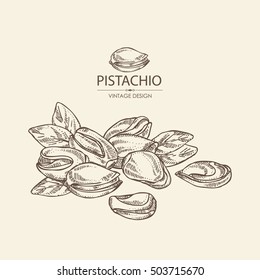 Background with pistachio. Hand drawn