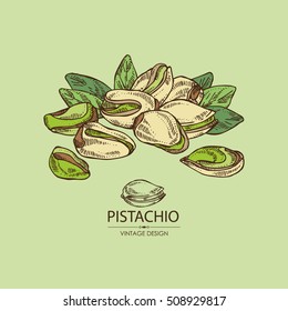 Background with pistachio. Hand drawn