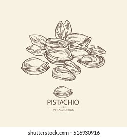 Background with pistachio. Hand drawn