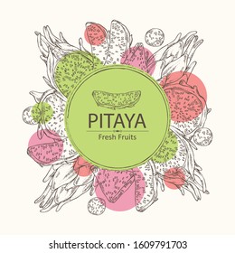 Background with pitaya fruit: fruit and pitaya slice. Dragon fruit. Vector hand drawn illustration.