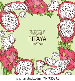 Background with Pitaya fruit: fruit and pitaya slice. Dragon fruit. Vector set hand drawn illustration
