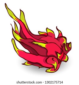 Background with pitaya vector. Tropical fruit. Bright dragon fruit.