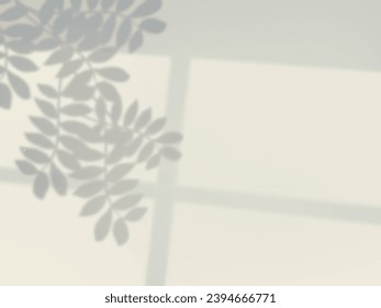 Fondo de hojas de planta y sombras de marco de ventana en la pared