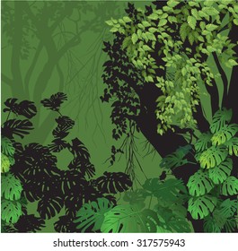 Background plant, nature (ecology)