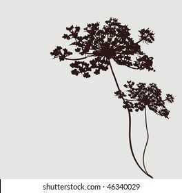 background with plant silhouette