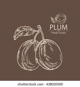 Background with plum . hand drawn