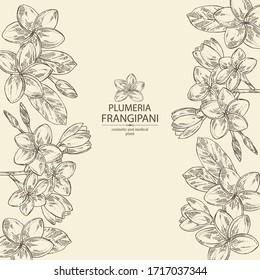 Background with plumeria: plumeria flowers, bud and leaves. Frangipani flowers. Cosmetic, perfumery and medical plant. Vector hand drawn illustration