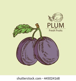 Background with plums . hand drawn